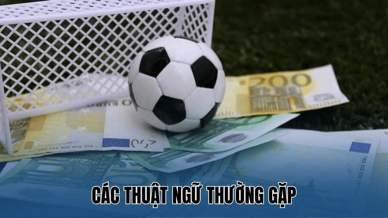 Các thuật ngữ thường gặp