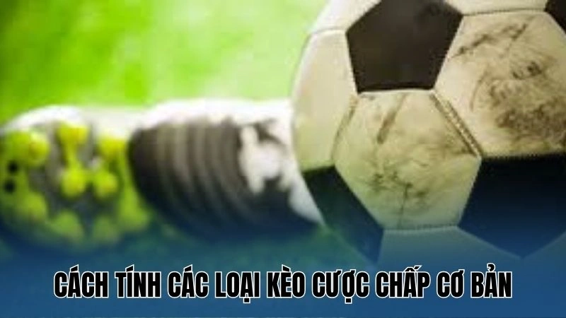 Cách tính các loại kèo cược chấp cơ bản