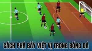 cach pha bay viet vi trong bong da