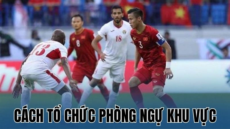 cach to chuc phong ngu khu vuc