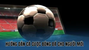 Giới thiệu cách chơi bóng đá tại Nowgoal