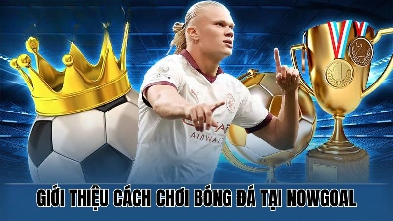 Giới thiệu cá cược bóng đá tại Nowgoal