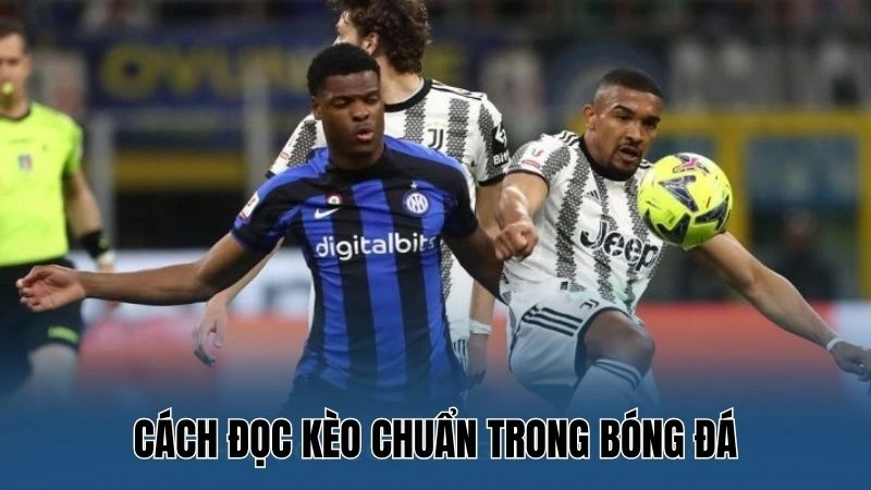 Cách đọc kèo bóng đá