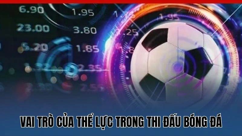 Vai trò của thể lực trong thi đấu bóng đá