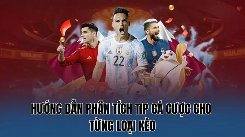 Hướng dẫn phân tích tip cá cược cho từng loại kèo